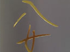 PP processing / Embossing / UV processing / Foil stamping, etc.